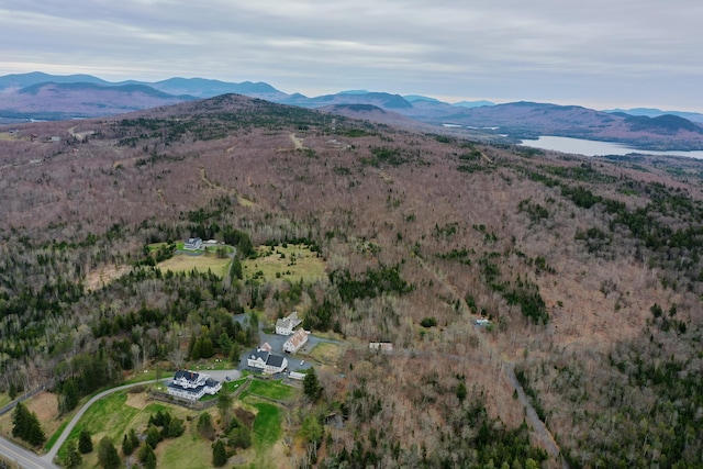 LOT1 Blair Hill Rd, Greenville, ME 04441 - view of property location with a mountain backdrop and a heavily wooded area