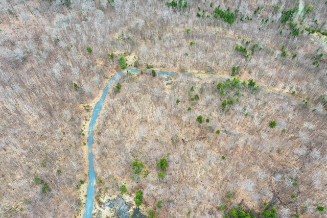 LOT1 Blair Hill Rd, Greenville, ME 04441 - view of property location