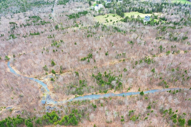 LOT1 Blair Hill Rd, Greenville, ME 04441 - view of property location