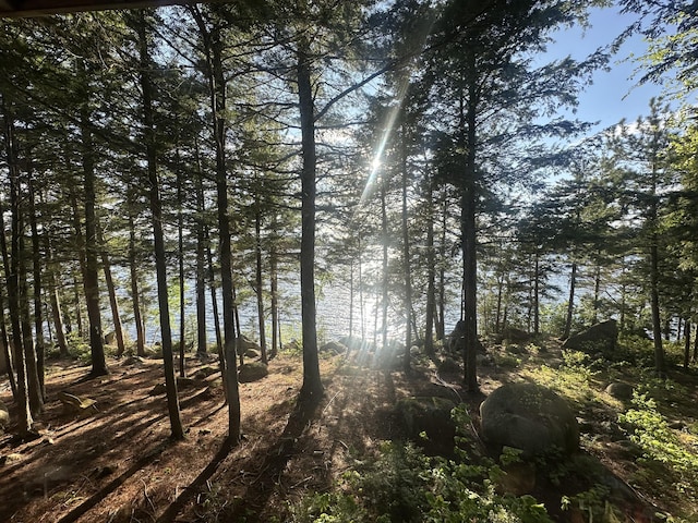 30 Cove View Ln Unit T3, Indian Purchase Twp, ME 04462 - view of local wilderness