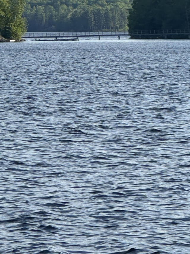 30 Cove View Ln Unit T3, Indian Purchase Twp, ME 04462 - water view featuring a forest