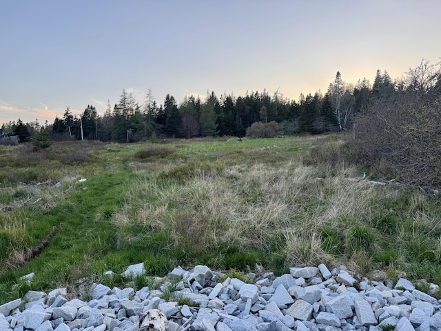LOT5 George Wright Rd, Vinalhaven, ME 04863 - photo 17