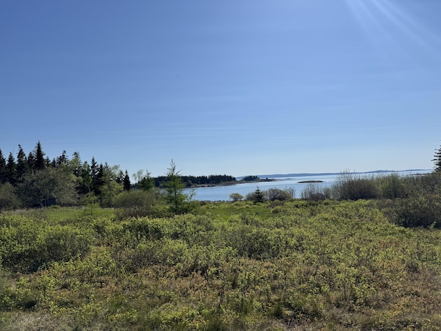 LOT5 George Wright Rd, Vinalhaven, ME 04863 - photo 19
