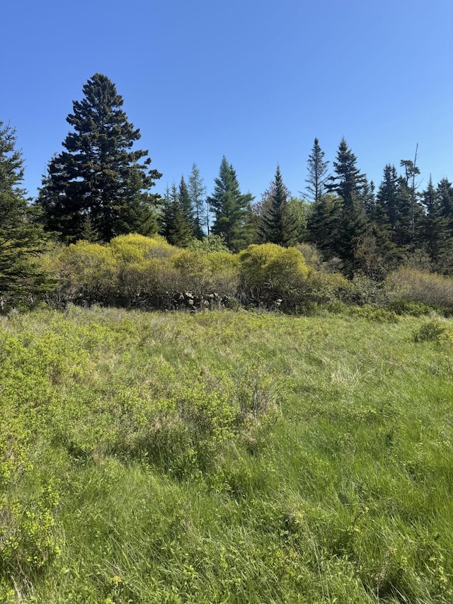 LOT5 George Wright Rd, Vinalhaven, ME 04863 - photo 21