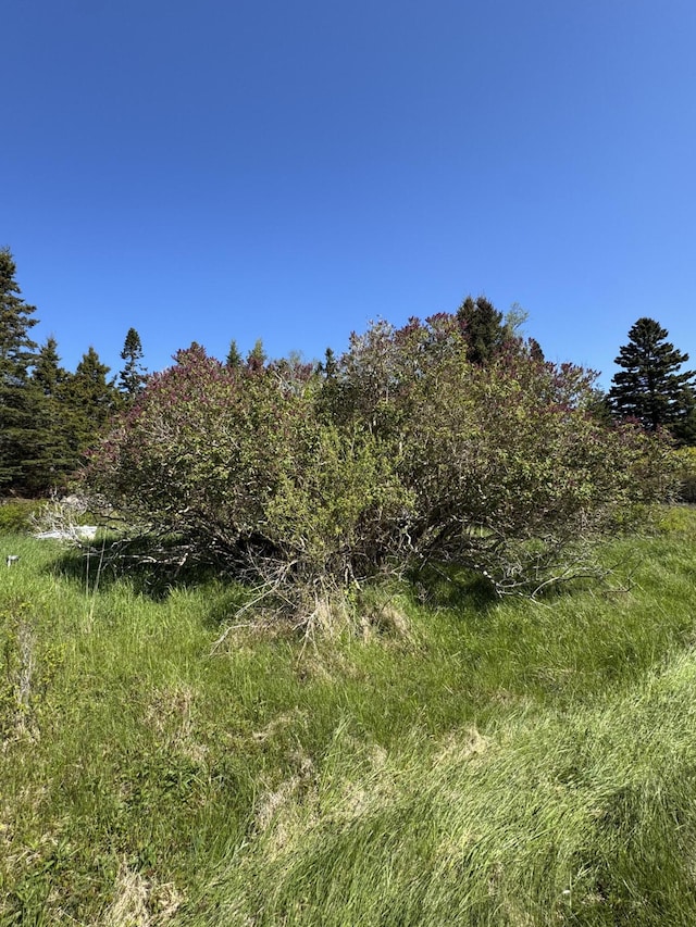 LOT5 George Wright Rd, Vinalhaven, ME 04863 - photo 20