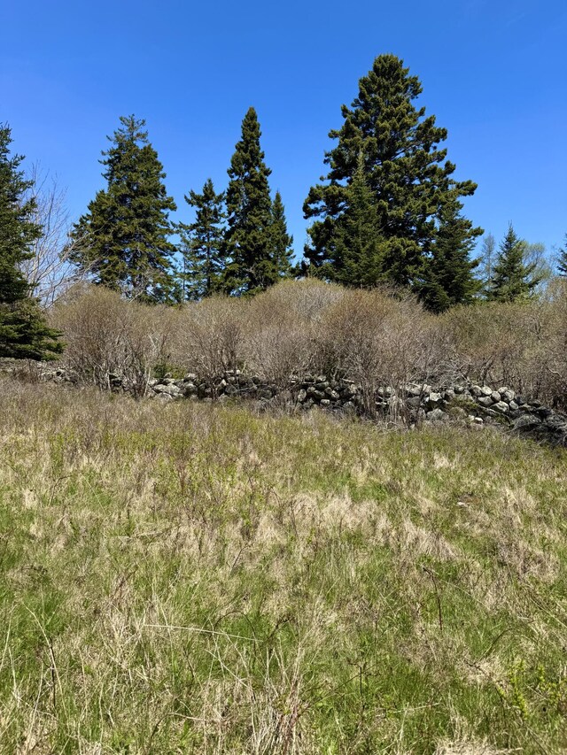 LOT5 George Wright Rd, Vinalhaven, ME 04863 - photo 27