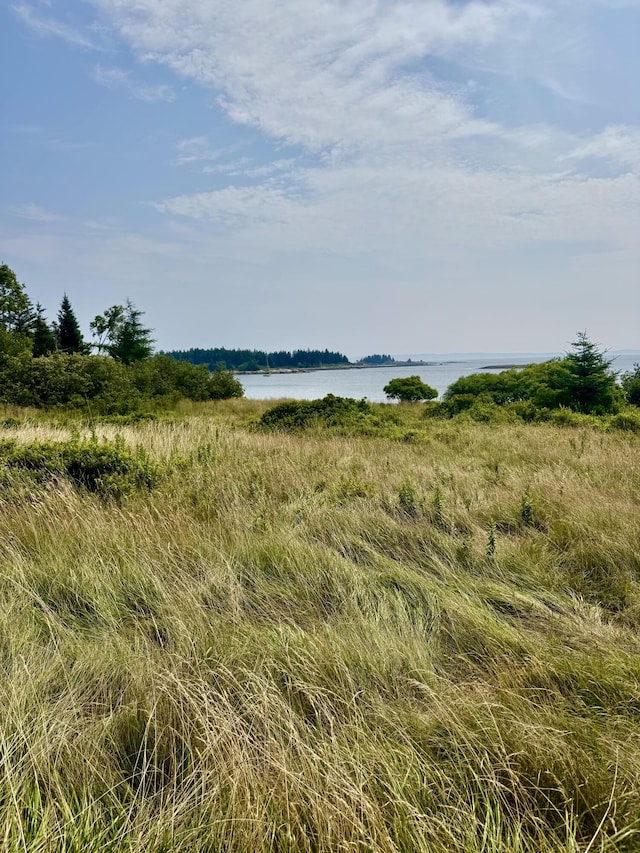 LOT5 George Wright Rd, Vinalhaven, ME 04863 - photo 4