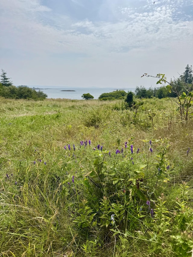 LOT5 George Wright Rd, Vinalhaven, ME 04863 - photo 2