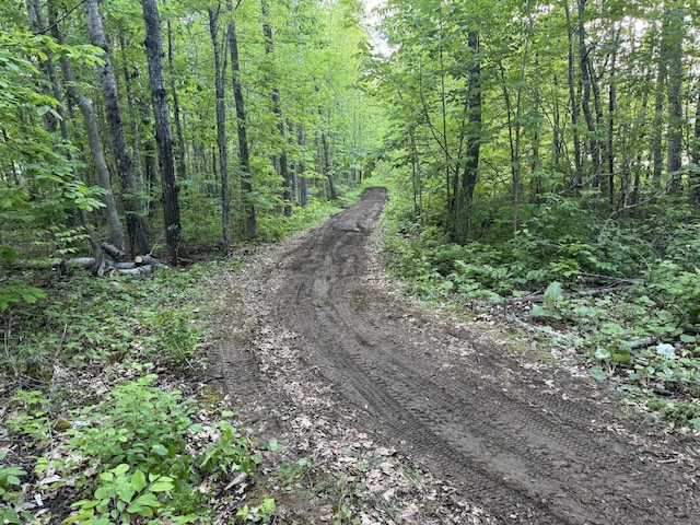 40 Justin Ln, Hermon, ME 04401 - view of road featuring a wooded view