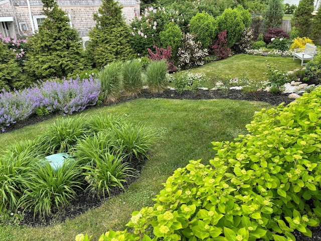 7 First St, Biddeford, ME 04006 - view of grassy yard