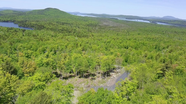 44 Bay View Dr, Greenville, ME 04441