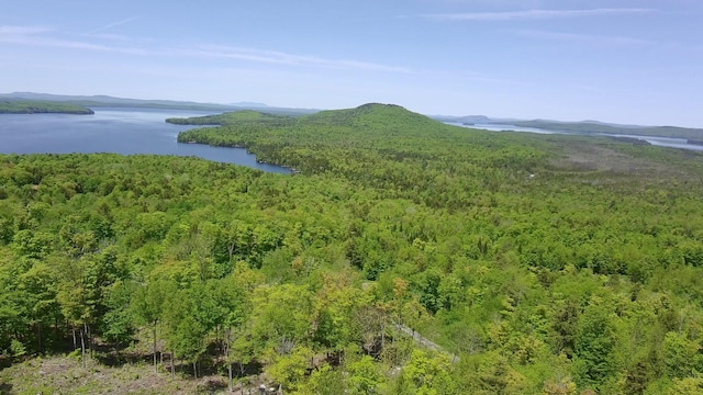 44 Bay View Dr, Greenville, ME 04441