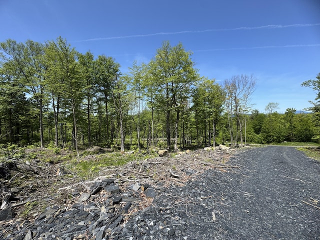 44 Bay View Dr, Greenville, ME 04441