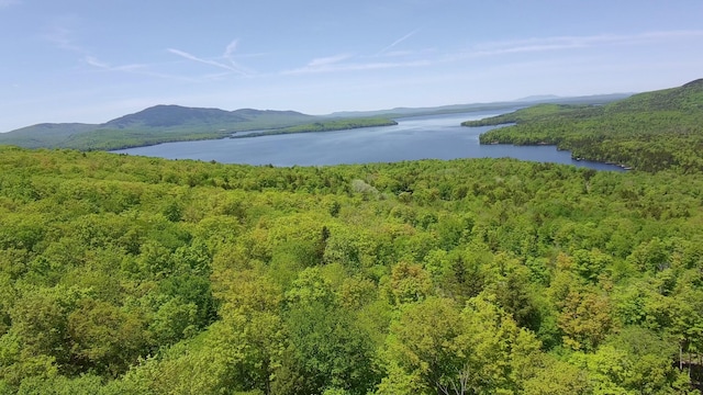 44 Bay View Dr, Greenville, ME 04441