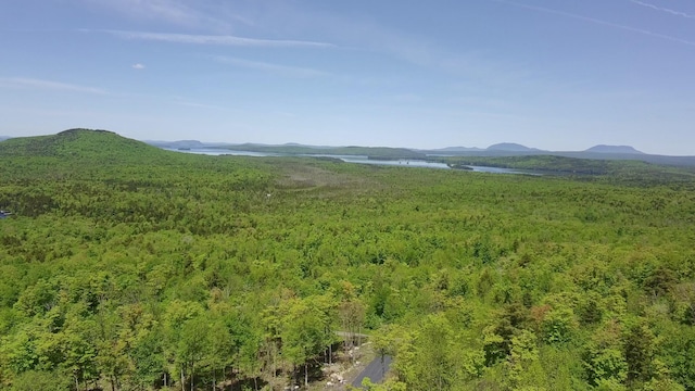 44 Bay View Dr, Greenville, ME 04441
