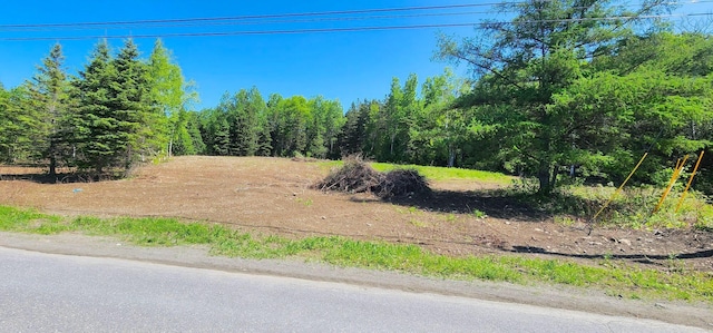 75 Allen Rd, Presque Isle, ME 04769 - photo 1
