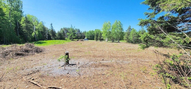 75 Allen Rd, Presque Isle, ME 04769 - photo 4