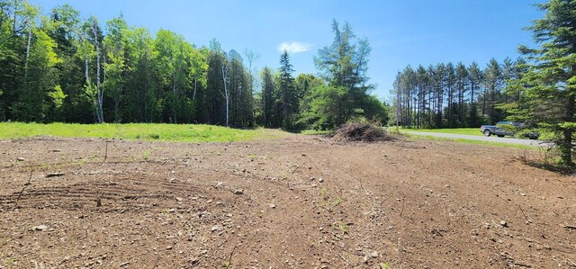 75 Allen Rd, Presque Isle, ME 04769 - photo 5