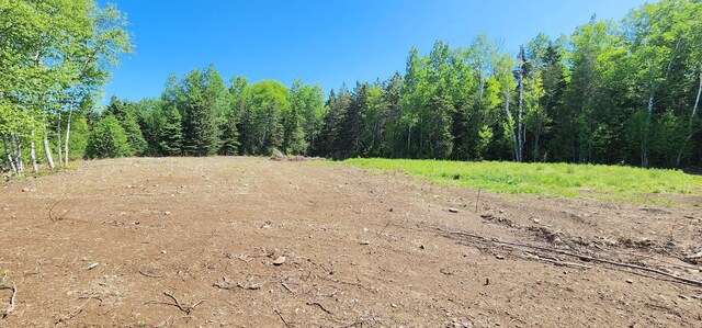75 Allen Rd, Presque Isle, ME 04769 - photo 6