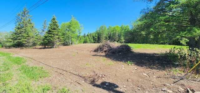 75 Allen Rd, Presque Isle, ME 04769 - photo 9