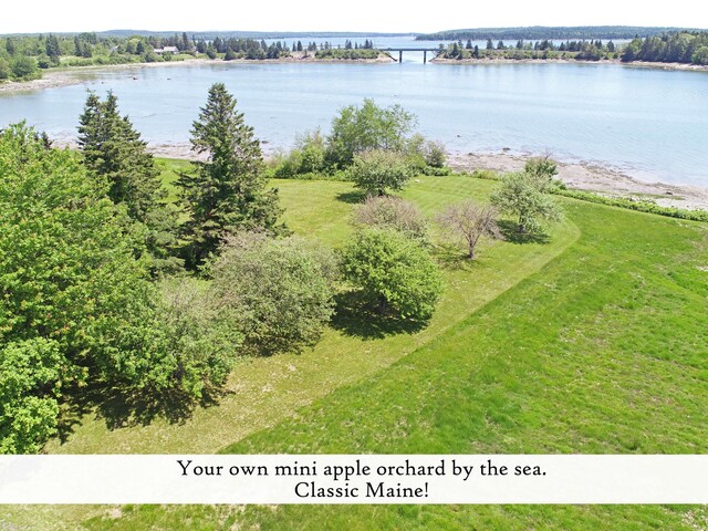 59 Hanna Dr, Trenton, ME 04605 - photo 88