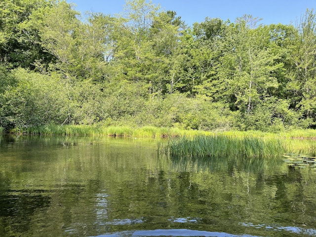 170 Molyneaux Rd, Camden, ME 04843 - water view with a heavily wooded area