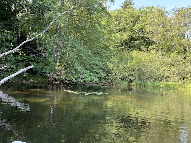 170 Molyneaux Rd, Camden, ME 04843 - water view featuring a heavily wooded area