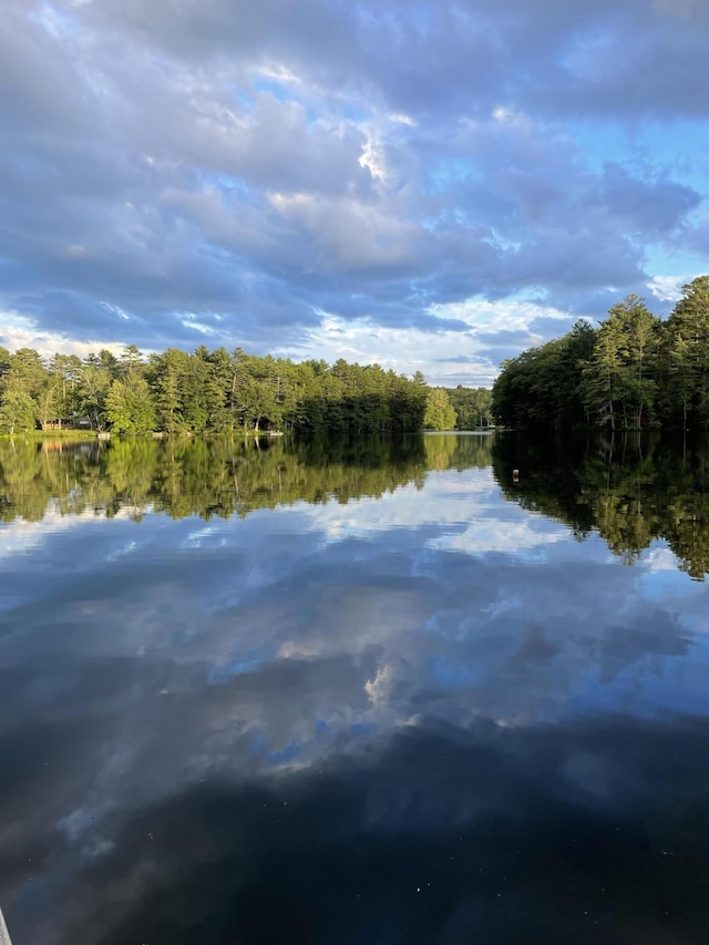 170 Molyneaux Rd, Camden, ME 04843 - water view with a heavily wooded area