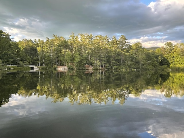 170 Molyneaux Rd, Camden, ME 04843 - water view featuring a forest