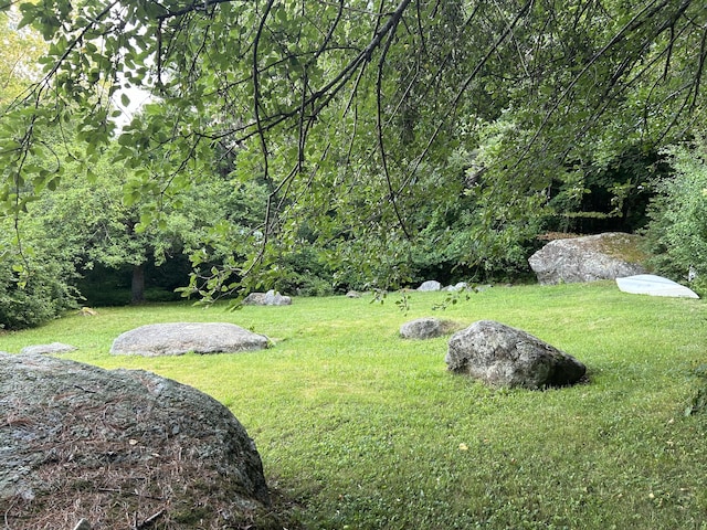 170 Molyneaux Rd, Camden, ME 04843 - view of grassy yard with a forest view