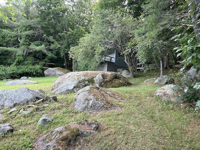 170 Molyneaux Rd, Camden, ME 04843 - view of yard