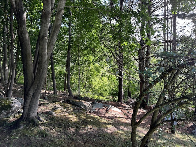 170 Molyneaux Rd, Camden, ME 04843 - view of woods