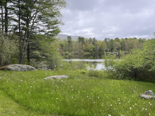 170 Molyneaux Rd, Camden, ME 04843 - view of yard with a view of trees and a water view