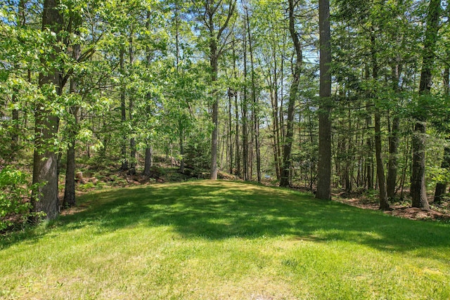 12 Hixon Hill Dr, Woolwich, ME 04579 - view of grassy yard
