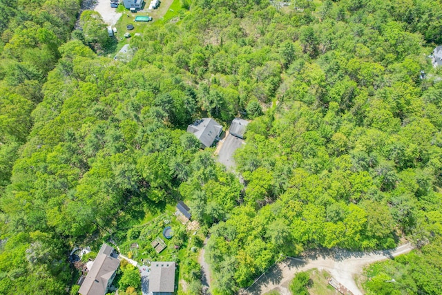 12 Hixon Hill Dr, Woolwich, ME 04579 - drone / aerial view of a forest