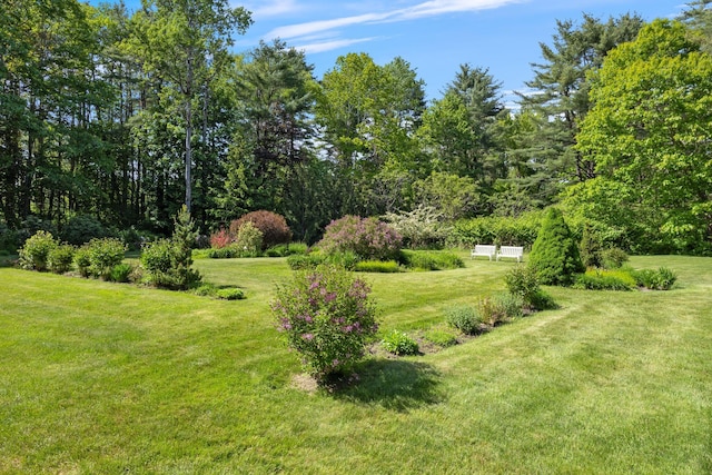 3 Blueberry Rd Unit 3, Yarmouth, ME 04096 - view of green lawn