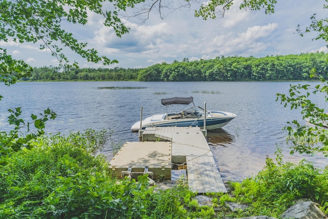 25 Sunset Dr, Somerville, ME 04348 - photo 60