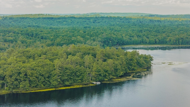 25 Sunset Dr, Somerville, ME 04348 - photo 63