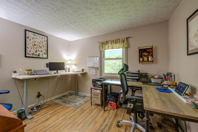 40 Sanborn St, Gorham, ME 04038 - office space with light wood-type flooring, a textured ceiling, and baseboards