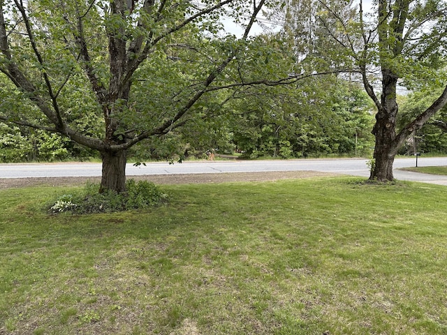110 Elm St, North Berwick, ME 03906 - view of green lawn