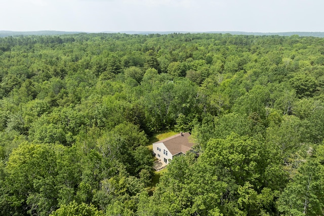 27 Russell Ln, Damariscotta, ME 04543 - view of subject property featuring a heavily wooded area