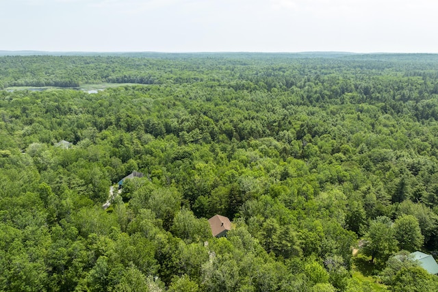 27 Russell Ln, Damariscotta, ME 04543 - drone / aerial view of a forest
