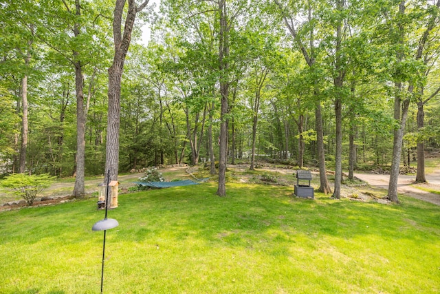 76 Punkintown Rd, Eliot, ME 03903 - view of grassy yard