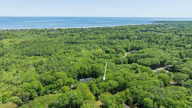 2 Mckenna Ln, York, ME 03909 - bird's eye view of a forest and a nearby body of water