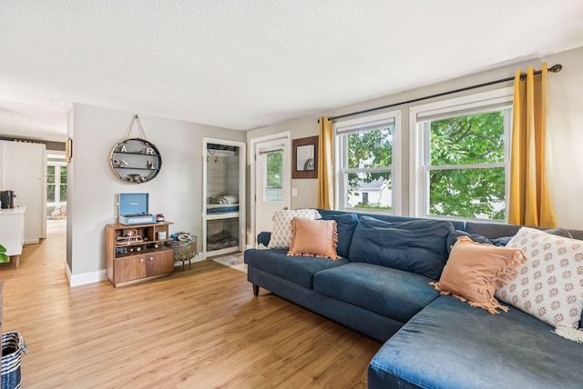 11 Meadow Ln, Portland, ME 04103 - living room featuring light wood-type flooring, plenty of natural light, a textured ceiling, and baseboards