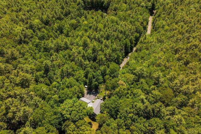 44 Pine Meadow Ct, North Berwick, ME 03906 - view of subject property featuring a forest
