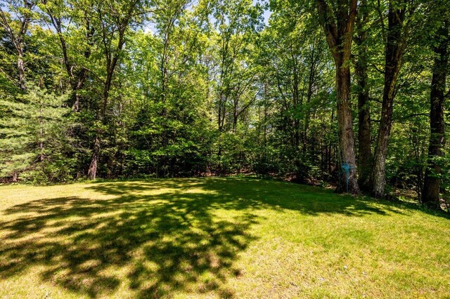 44 Pine Meadow Ct, North Berwick, ME 03906 - view of green lawn