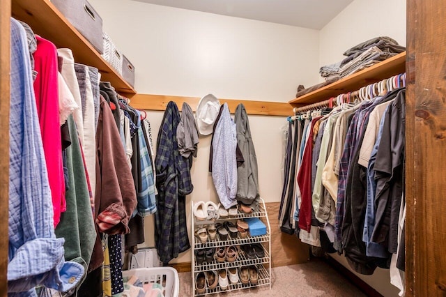 44 Pine Meadow Ct, North Berwick, ME 03906 - walk in closet with carpet floors