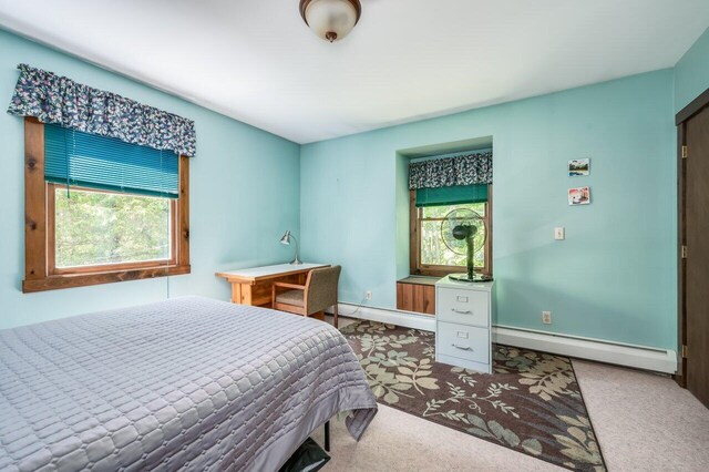 44 Pine Meadow Ct, North Berwick, ME 03906 - carpeted bedroom with multiple windows, baseboard heating, and baseboards