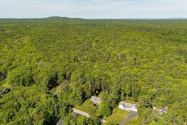 50 Village Green Drive Extension, Ogunquit, ME 03907 - drone / aerial view of a forest